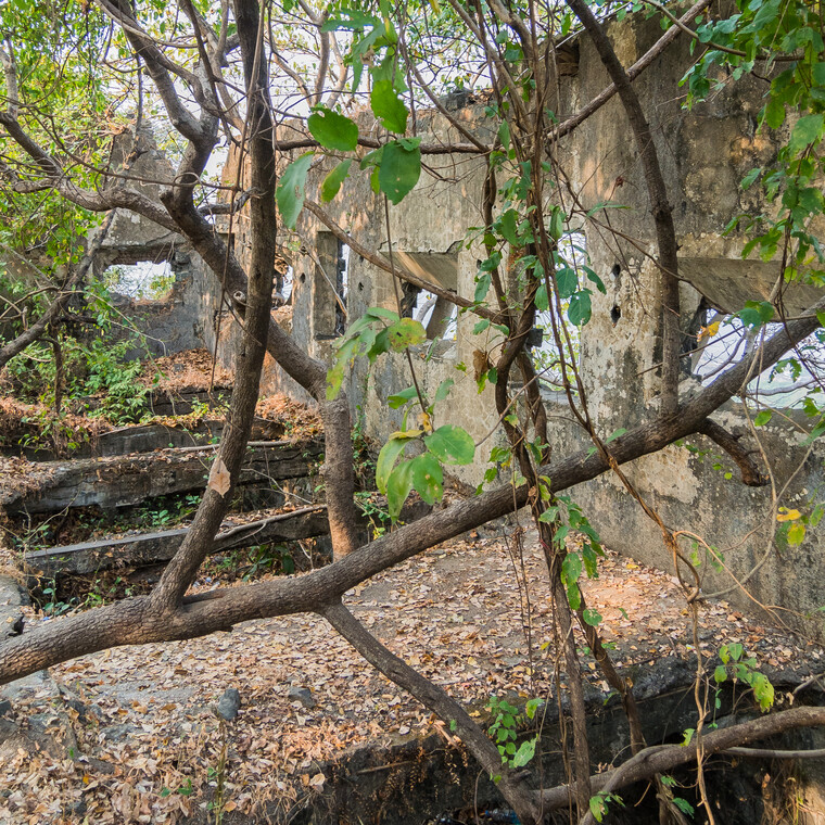 India 2014 - Mumbai 025.jpg